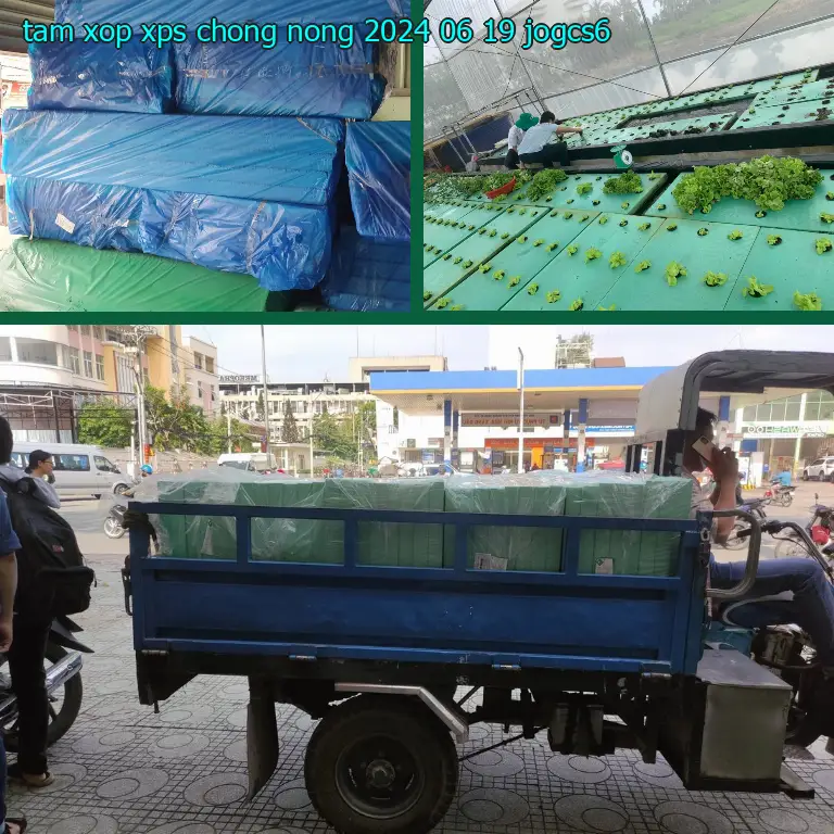 Model tấm xốp XPS chống nóng 2024-06-19: JOGCS6 Model tấm xốp XPS chống nóng 2024-06-19: JOGCS6