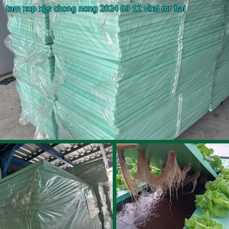 Nhà cung cấp tấm xốp XPS chống nóng 2024-09-12: VLXD Mr.HẢI Nhà cung cấp tấm xốp XPS chống nóng 2024-09-12: VLXD Mr.HẢI