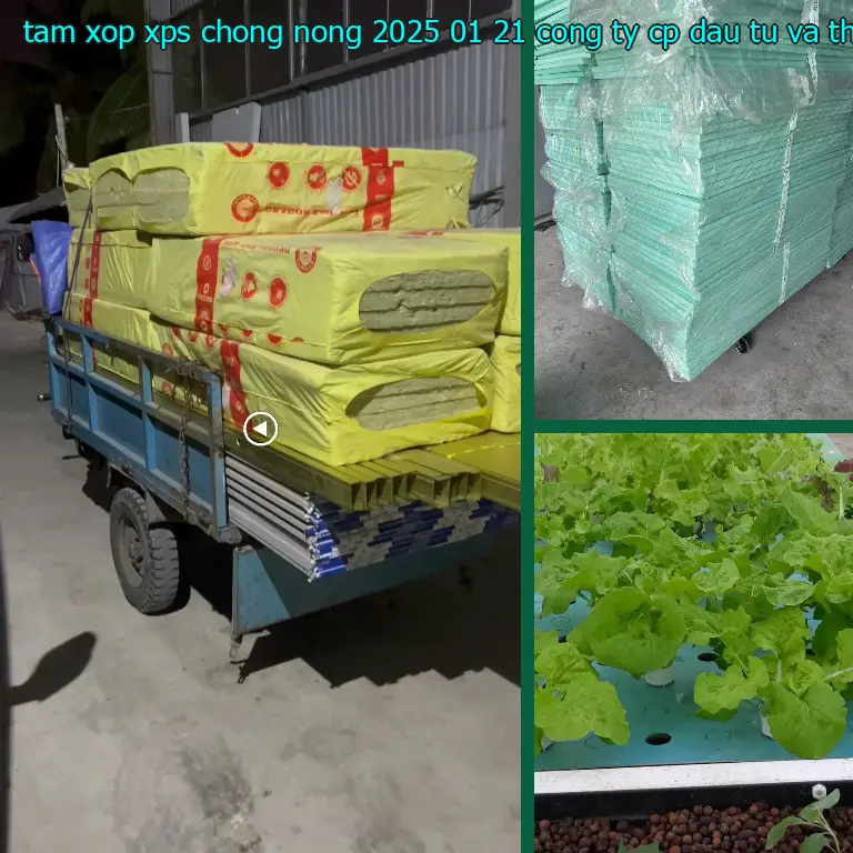 Nhà sản xuất tấm xốp XPS chống nóng 2025-01-21: Công ty CP đầu tư và thương mại AK Việt Nam Nhà sản xuất tấm xốp XPS chống nóng 2025-01-21: Công ty CP đầu tư và thương mại AK Việt Nam