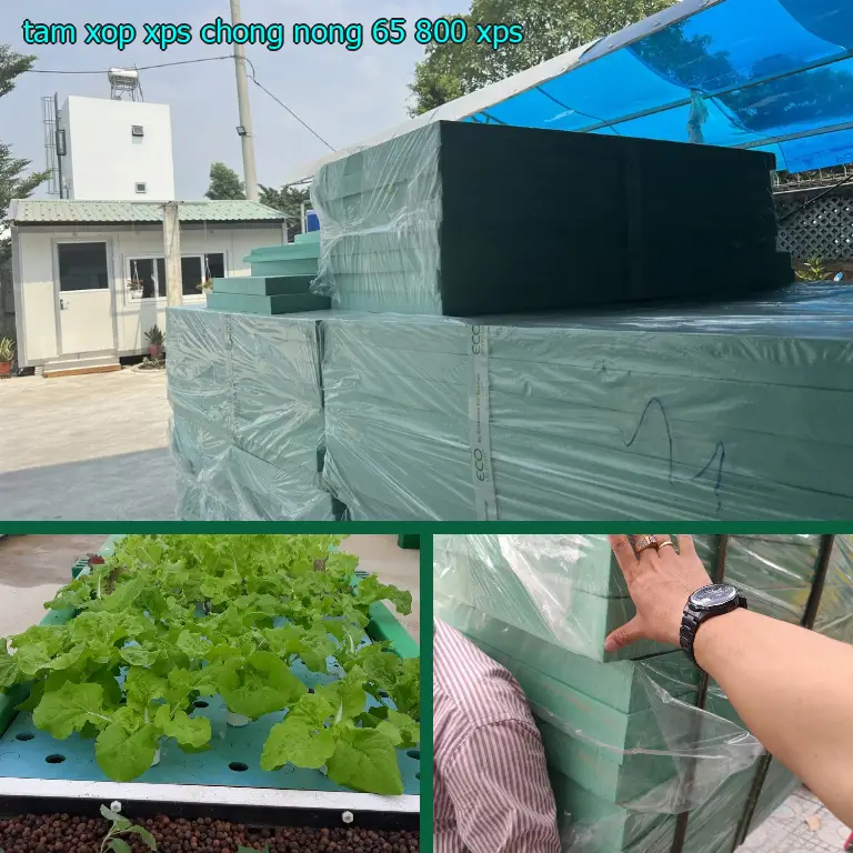 Chất liệu tấm xốp XPS chống nóng 65.800₫: XPS Chất liệu tấm xốp XPS chống nóng 65.800₫: XPS