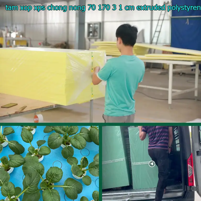 Chất liệu tấm xốp XPS chống nóng 70*170*3.1 cm: Extruded Polystyrene Chất liệu tấm xốp XPS chống nóng 70*170*3.1 cm: Extruded Polystyrene