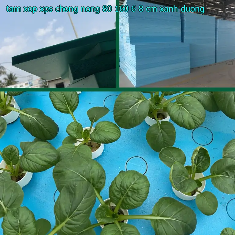 Màu sắc tấm xốp XPS chống nóng 80*160*6.8 cm: Xanh dương Màu sắc tấm xốp XPS chống nóng 80*160*6.8 cm: Xanh dương