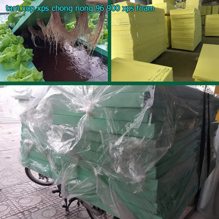 Danh mục tấm xốp XPS chống nóng 96.900₫: XPS Foam Danh mục tấm xốp XPS chống nóng 96.900₫: XPS Foam