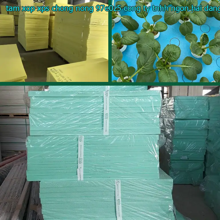 Nhà cung cấp tấm xốp XPS chống nóng 97E0Z5: Công ty TNHH Ngọn Hải Đăng Nhà cung cấp tấm xốp XPS chống nóng 97E0Z5: Công ty TNHH Ngọn Hải Đăng