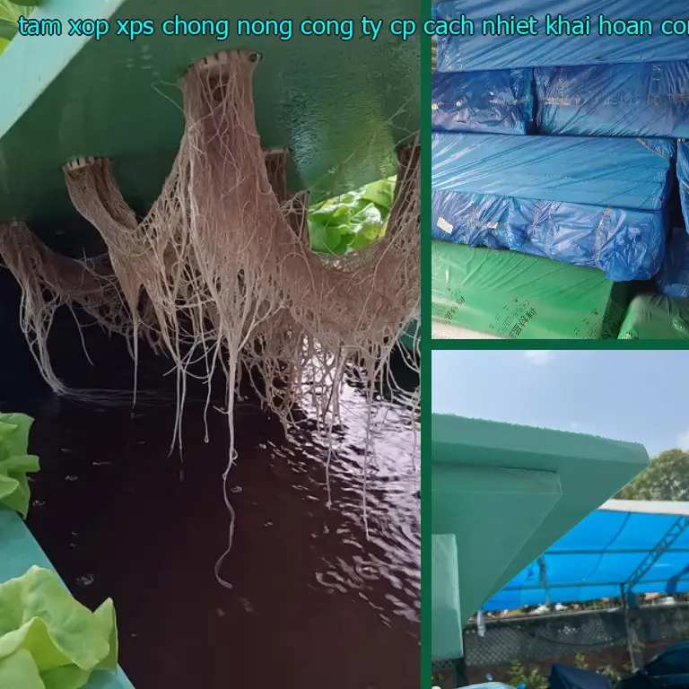 Nhà sản xuất tấm xốp XPS chống nóng Công ty CP cách nhiệt Khải Hoàn: Công ty CP cách nhiệt Khải Hoàn