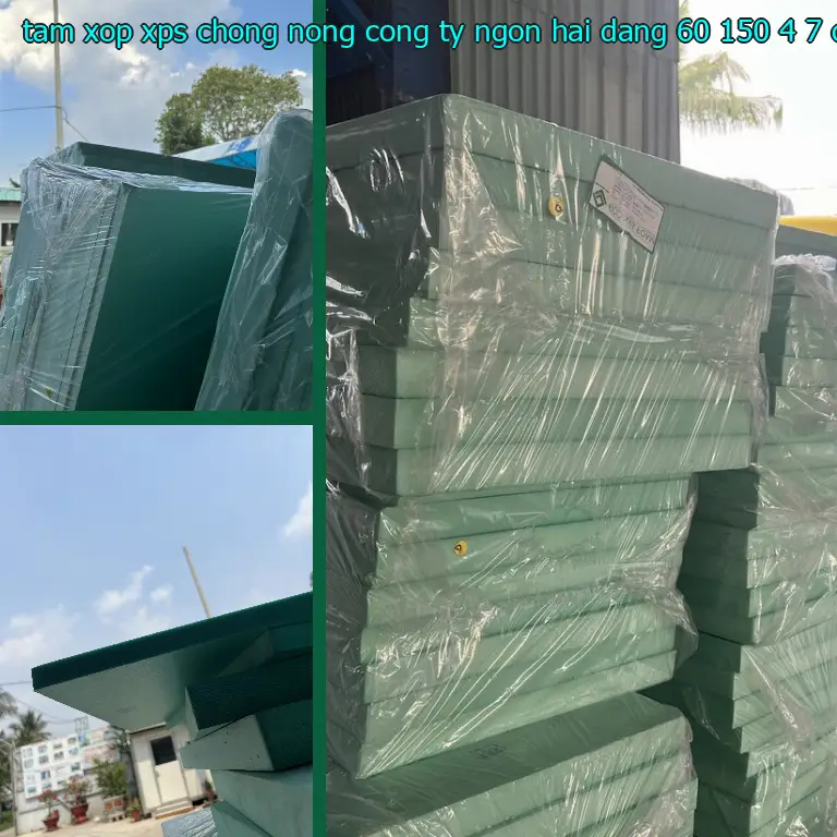Kích thước tấm xốp XPS chống nóng Công ty Ngọn Hải Đăng: 60*150*4.7 cm Kích thước tấm xốp XPS chống nóng Công ty Ngọn Hải Đăng: 60*150*4.7 cm