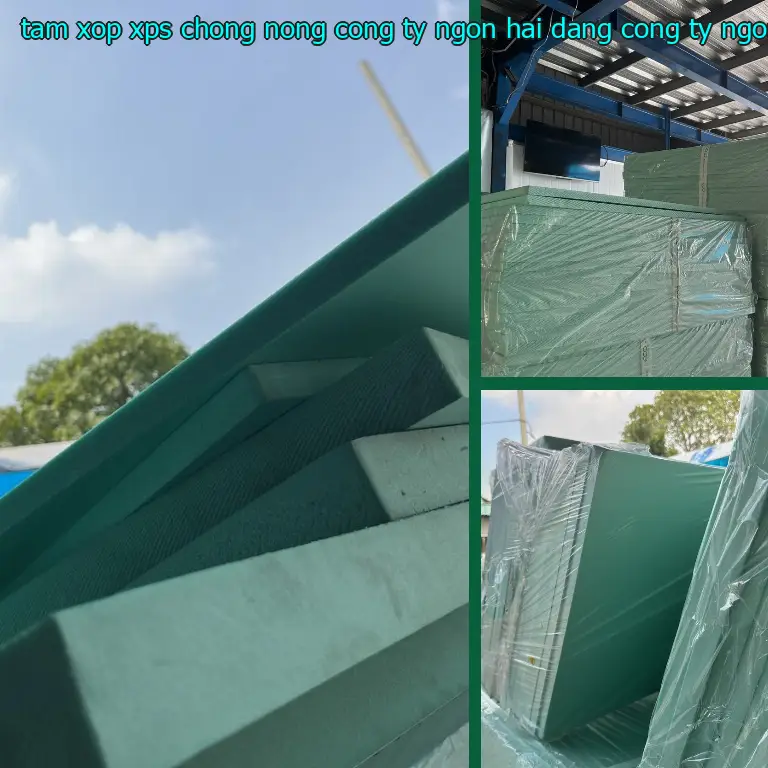 Nhà cung cấp tấm xốp XPS chống nóng Công ty Ngọn Hải Đăng: Công ty Ngọn Hải Đăng Nhà cung cấp tấm xốp XPS chống nóng Công ty Ngọn Hải Đăng: Công ty Ngọn Hải Đăng