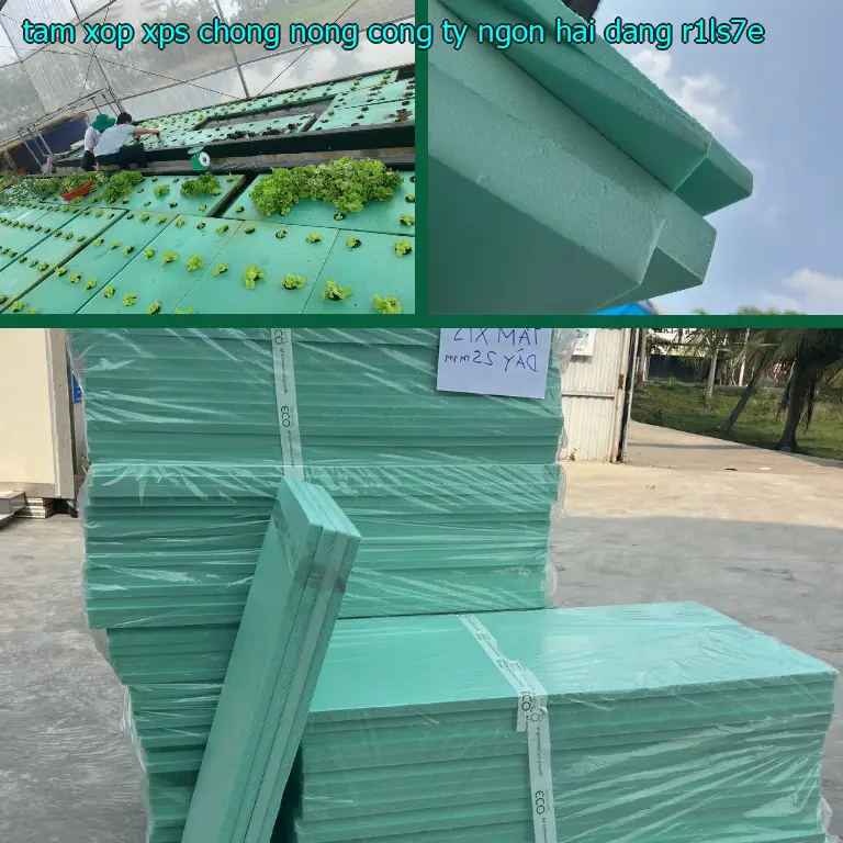 Model tấm xốp XPS chống nóng Công ty Ngọn Hải Đăng: R1LS7E Model tấm xốp XPS chống nóng Công ty Ngọn Hải Đăng: R1LS7E