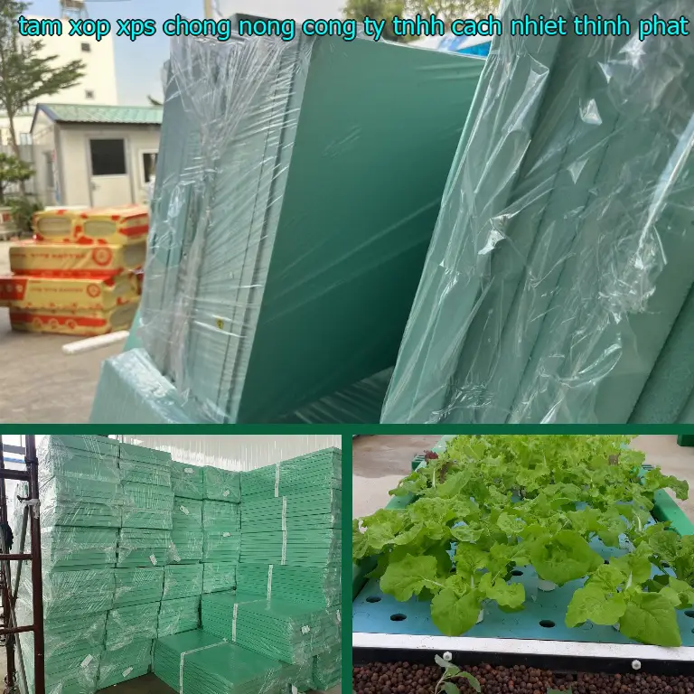 Nhà cung cấp tấm xốp XPS chống nóng Công ty TNHH cách nhiệt Thịnh Phát: Công ty Ngọn Hải Đăng Nhà cung cấp tấm xốp XPS chống nóng Công ty TNHH cách nhiệt Thịnh Phát: Công ty Ngọn Hải Đăng