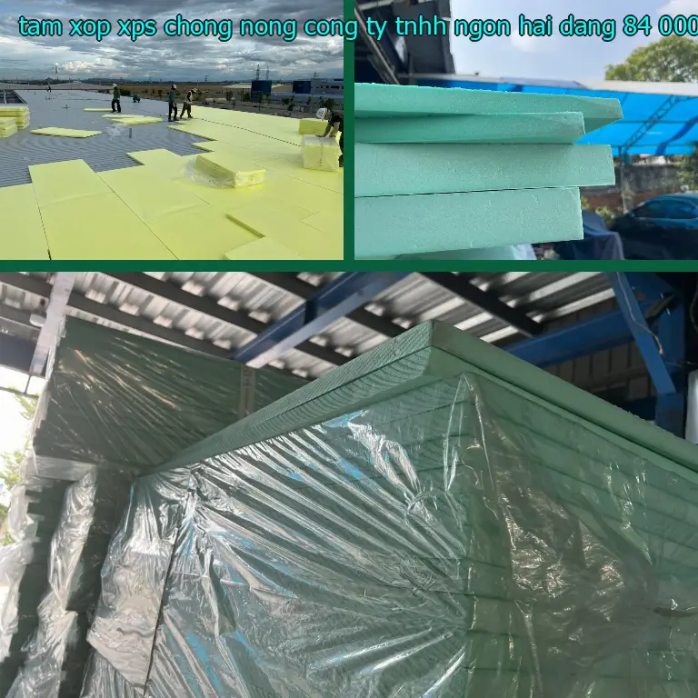 Đơn giá tấm xốp XPS chống nóng Công ty TNHH Ngọn Hải Đăng: 84.000₫ Đơn giá tấm xốp XPS chống nóng Công ty TNHH Ngọn Hải Đăng: 84.000₫