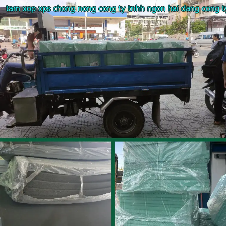 Nhà cung cấp tấm xốp XPS chống nóng Công ty TNHH Ngọn Hải Đăng: Công ty TNHH Ngọn Hải Đăng Nhà cung cấp tấm xốp XPS chống nóng Công ty TNHH Ngọn Hải Đăng: Công ty TNHH Ngọn Hải Đăng
