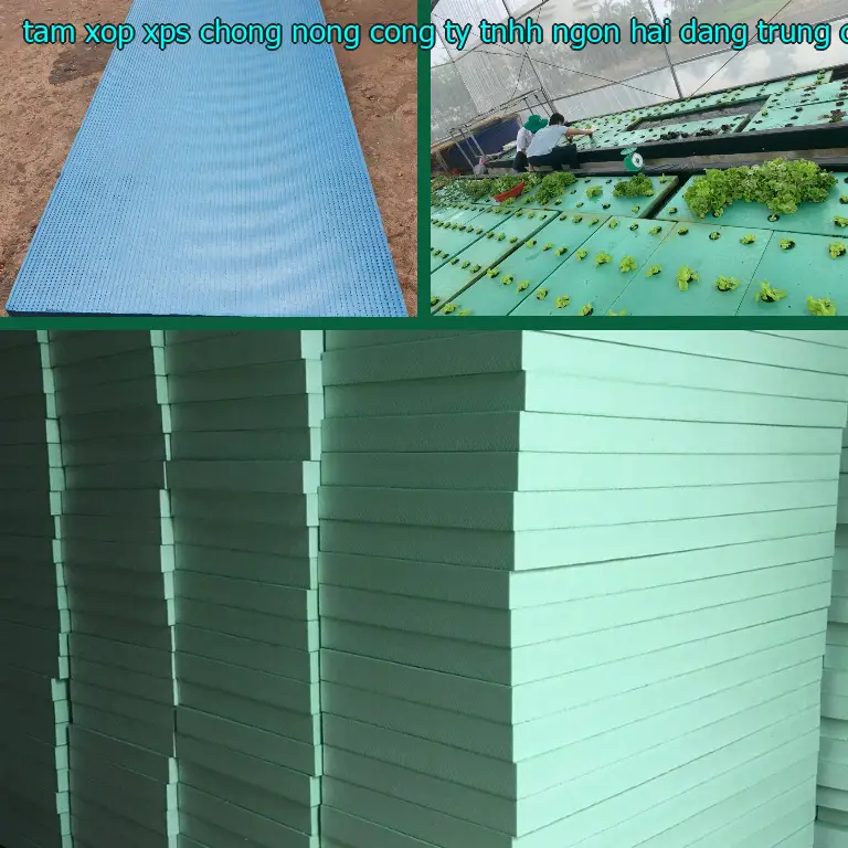 Xuất xứ tấm xốp XPS chống nóng Công ty TNHH Ngọn Hải Đăng: Trung Quốc Xuất xứ tấm xốp XPS chống nóng Công ty TNHH Ngọn Hải Đăng: Trung Quốc
