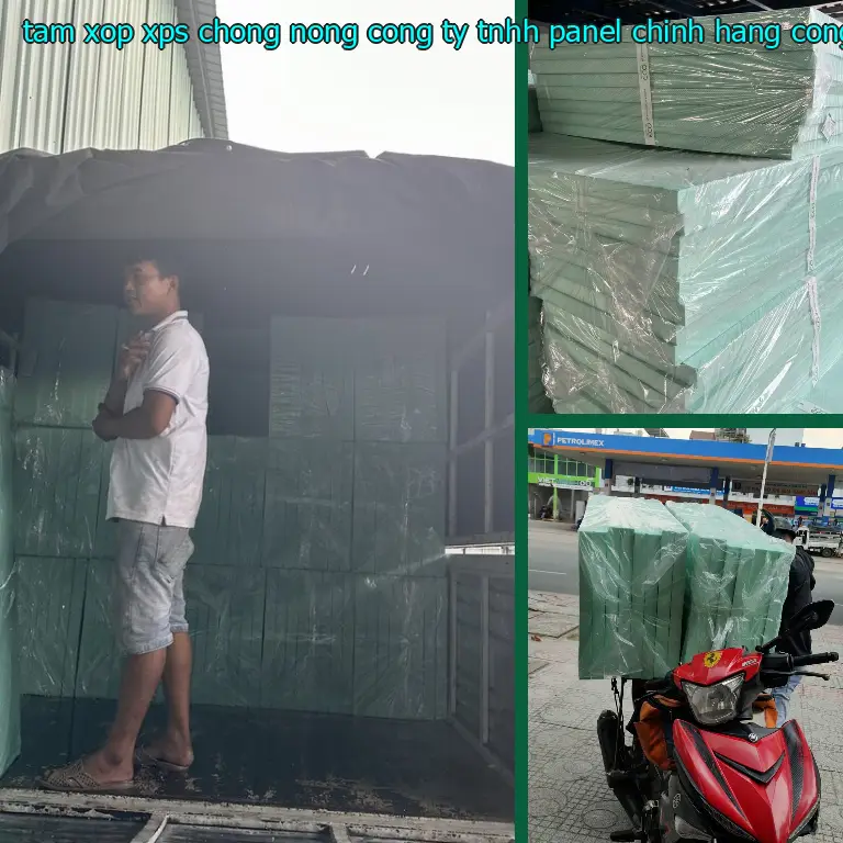 Nhà cung cấp tấm xốp XPS chống nóng Công ty TNHH Panel Chính Hãng: Công ty TNHH Ngọn Hải Đăng Nhà cung cấp tấm xốp XPS chống nóng Công ty TNHH Panel Chính Hãng: Công ty TNHH Ngọn Hải Đăng