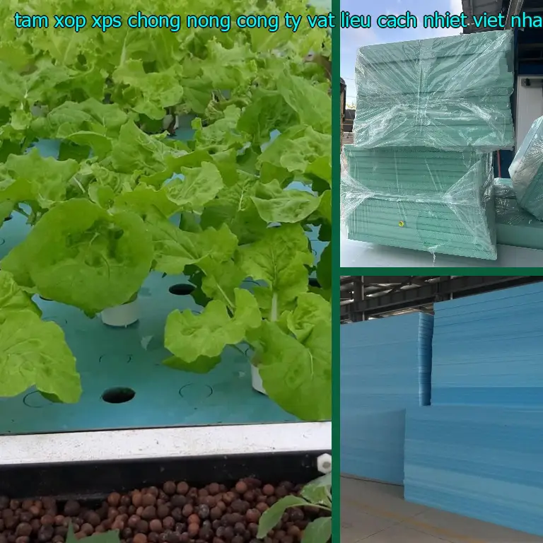 Màu sắc tấm xốp XPS chống nóng Công ty vật liệu cách nhiệt Việt Nhật: Xanh lá Màu sắc tấm xốp XPS chống nóng Công ty vật liệu cách nhiệt Việt Nhật: Xanh lá