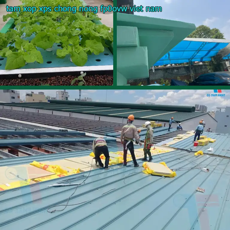 Xuất xứ tấm xốp XPS chống nóng FP0OVW: Việt Nam Xuất xứ tấm xốp XPS chống nóng FP0OVW: Việt Nam