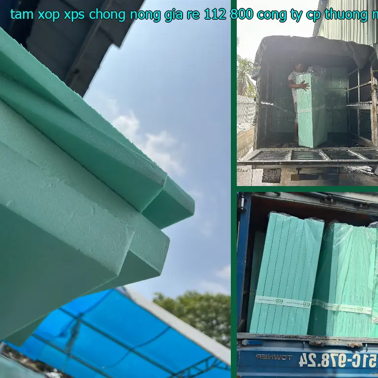 Nhà sản xuất tấm xốp XPS chống nóng giá rẻ 112.800₫: Công ty CP thương mại XNK Tân Phú Bình