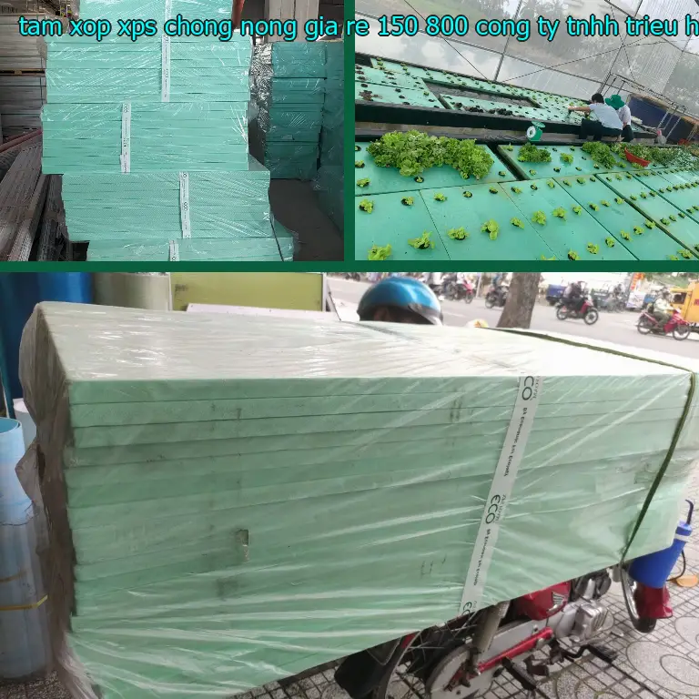 Nhà sản xuất tấm xốp XPS chống nóng giá rẻ 150.800₫: Công ty TNHH Triệu Hổ Nhà sản xuất tấm xốp XPS chống nóng giá rẻ 150.800₫: Công ty TNHH Triệu Hổ