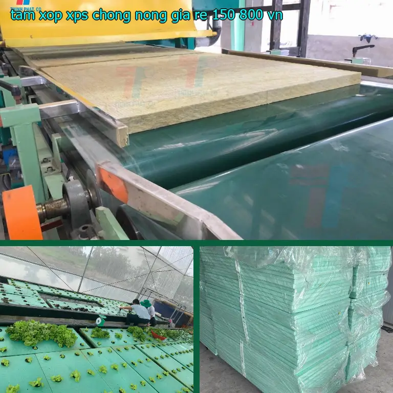 Xuất xứ tấm xốp XPS chống nóng giá rẻ 150.800₫: VN Xuất xứ tấm xốp XPS chống nóng giá rẻ 150.800₫: VN