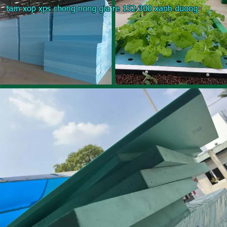 Màu sắc tấm xốp XPS chống nóng giá rẻ 152.300₫: Xanh dương Màu sắc tấm xốp XPS chống nóng giá rẻ 152.300₫: Xanh dương