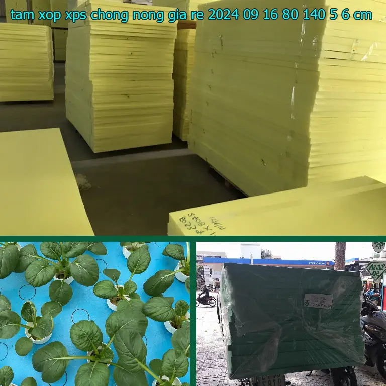 Kích thước tấm xốp XPS chống nóng giá rẻ 2024-09-16: 80*140*5.6 cm