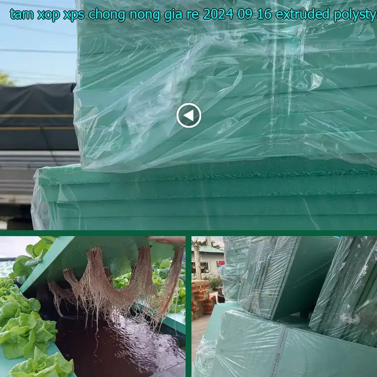 Chất liệu tấm xốp XPS chống nóng giá rẻ 2024-09-16: Extruded Polystyrene