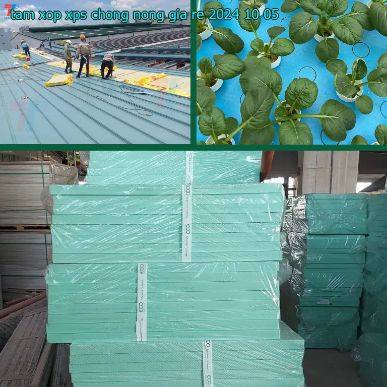 Tấm xốp XPS chống nóng giá rẻ 2024-10-05