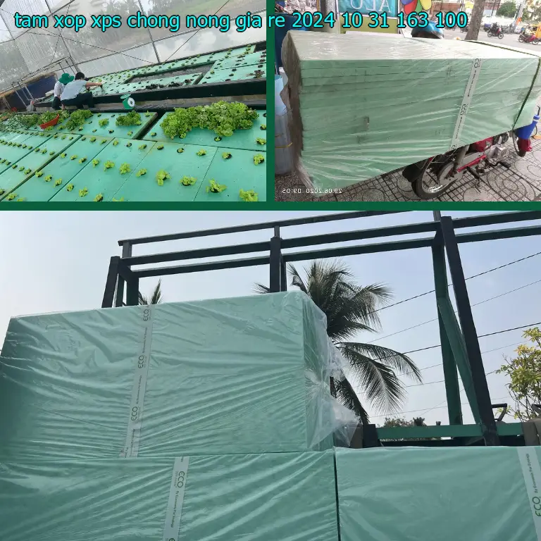 Giá tấm xốp XPS chống nóng giá rẻ 2024-10-31: 163.100₫ Giá tấm xốp XPS chống nóng giá rẻ 2024-10-31: 163.100₫