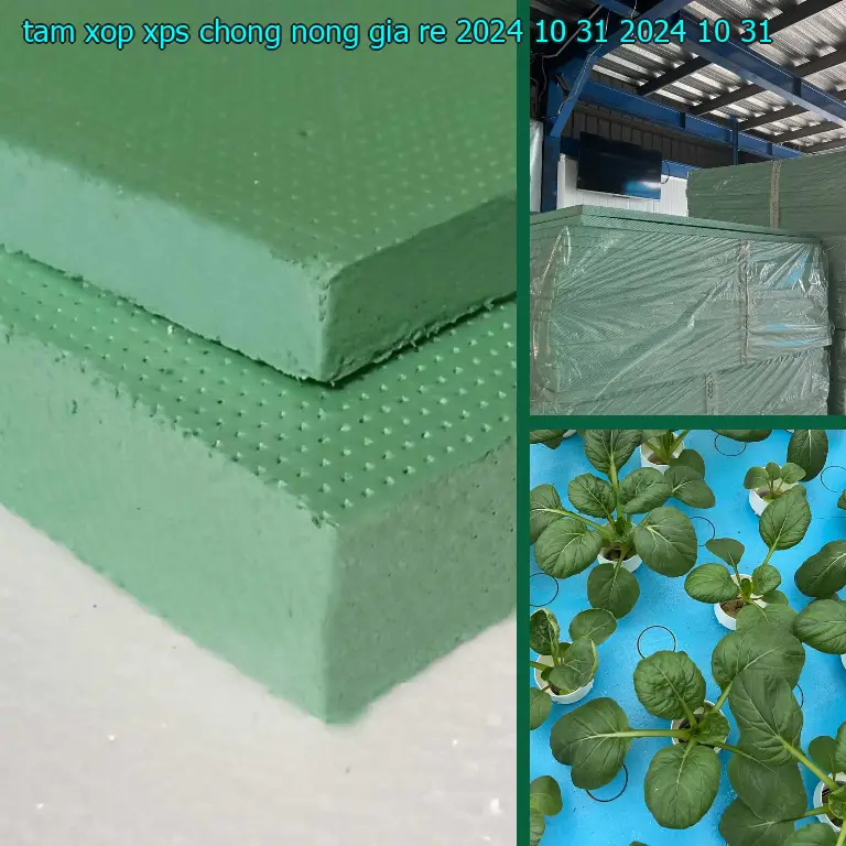Ngày sản xuất tấm xốp XPS chống nóng giá rẻ 2024-10-31: 2024-10-31 Ngày sản xuất tấm xốp XPS chống nóng giá rẻ 2024-10-31: 2024-10-31
