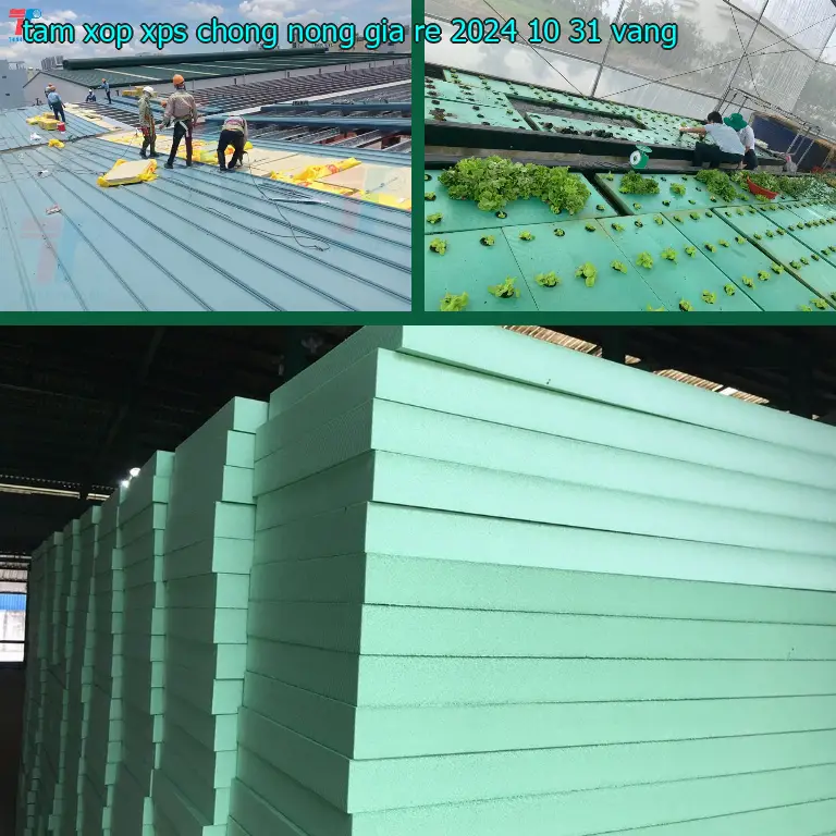 Màu sắc tấm xốp XPS chống nóng giá rẻ 2024-10-31: Vàng Màu sắc tấm xốp XPS chống nóng giá rẻ 2024-10-31: Vàng