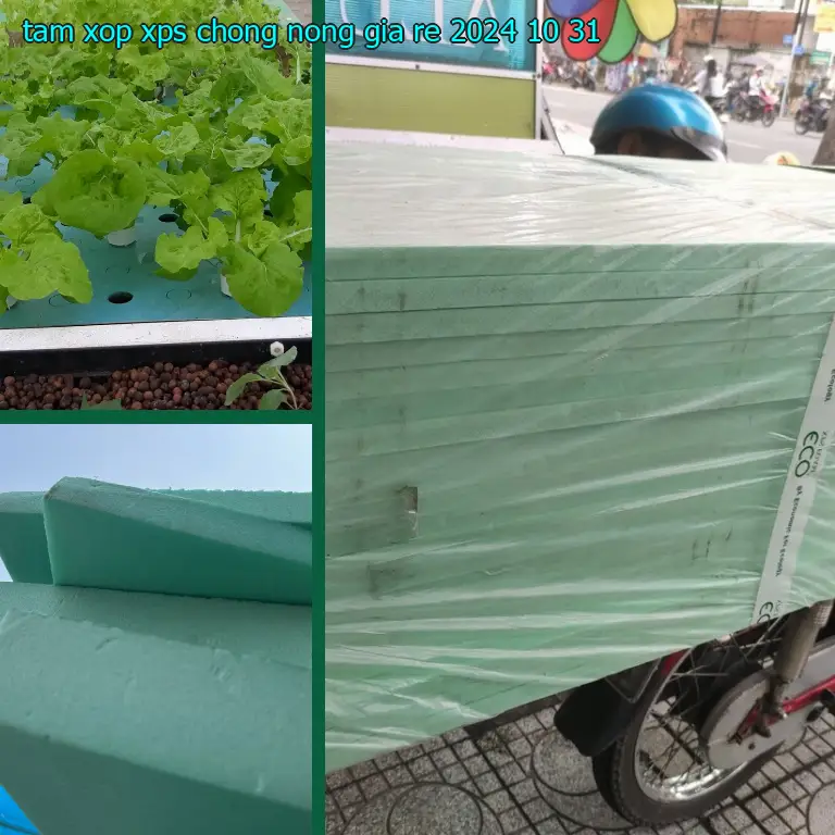 Tấm xốp XPS chống nóng giá rẻ 2024-10-31