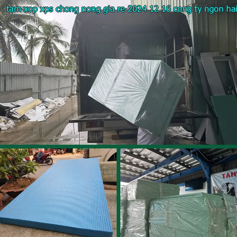 Nhà cung cấp tấm xốp XPS chống nóng giá rẻ 2024-12-16: Công ty Ngọn Hải Đăng Nhà cung cấp tấm xốp XPS chống nóng giá rẻ 2024-12-16: Công ty Ngọn Hải Đăng