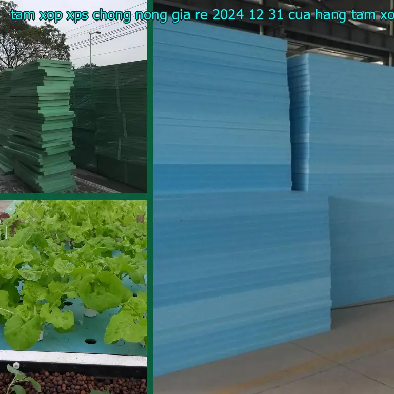 Nhà cung cấp tấm xốp XPS chống nóng giá rẻ 2024-12-31: Cửa hàng tấm xốp Mr.HẢI Nhà cung cấp tấm xốp XPS chống nóng giá rẻ 2024-12-31: Cửa hàng tấm xốp Mr.HẢI