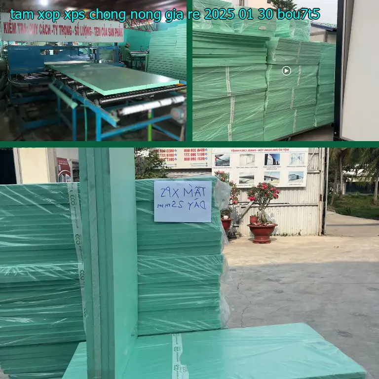 Model tấm xốp XPS chống nóng giá rẻ 2025-01-30: BOU7T5 Model tấm xốp XPS chống nóng giá rẻ 2025-01-30: BOU7T5