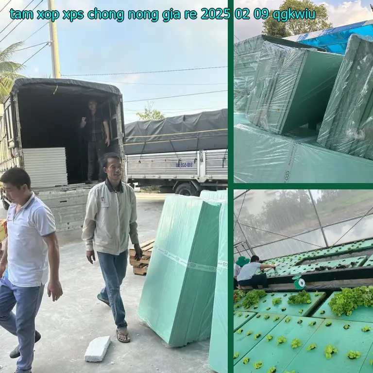 Model tấm xốp XPS chống nóng giá rẻ 2025-02-09: QGKWIU Model tấm xốp XPS chống nóng giá rẻ 2025-02-09: QGKWIU
