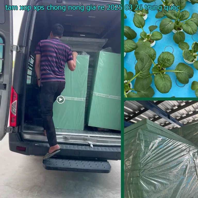 Xuất xứ tấm xốp XPS chống nóng giá rẻ 2025-03-26: Trung Quốc