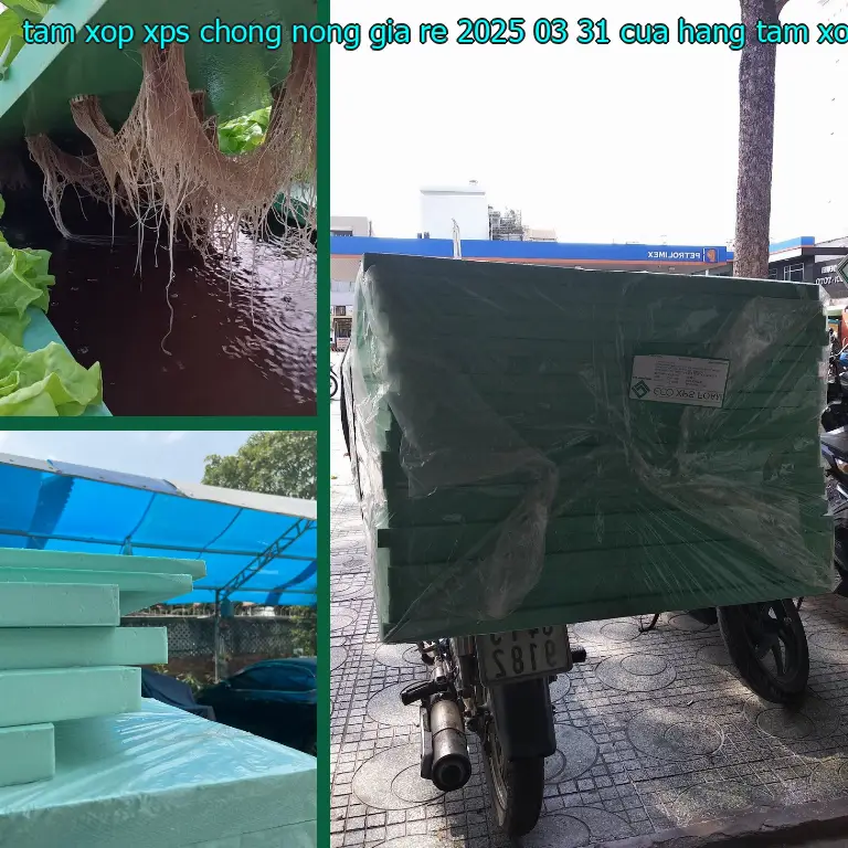 Nhà cung cấp tấm xốp XPS chống nóng giá rẻ 2025-03-31: Cửa hàng tấm xốp Mr.HẢI Nhà cung cấp tấm xốp XPS chống nóng giá rẻ 2025-03-31: Cửa hàng tấm xốp Mr.HẢI
