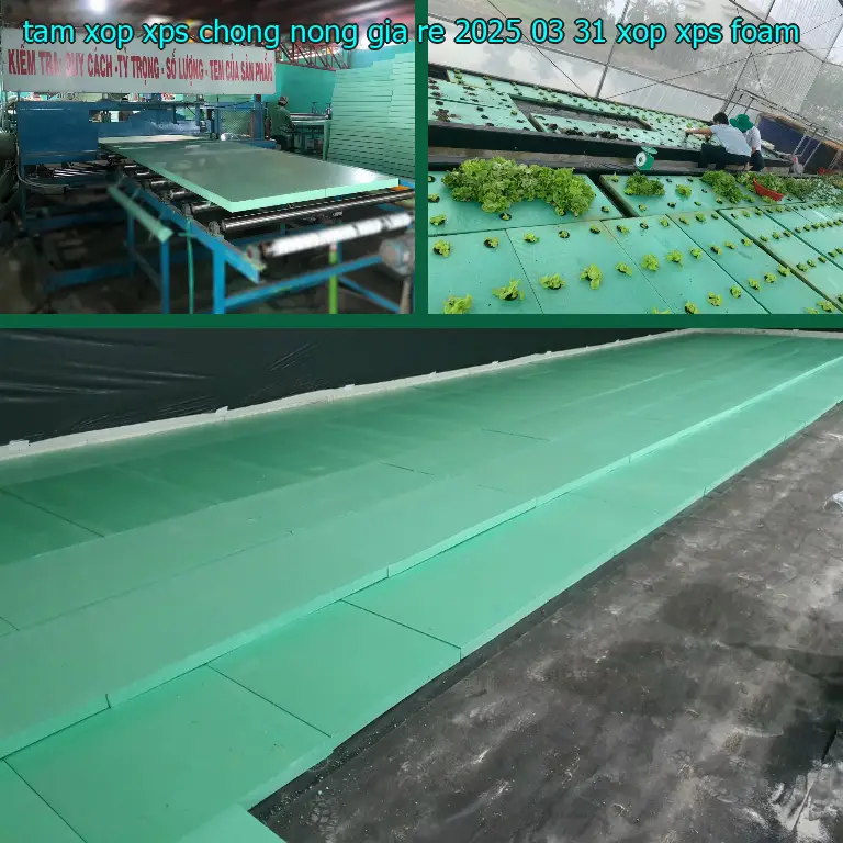 Danh mục tấm xốp XPS chống nóng giá rẻ 2025-03-31: Xốp XPS Foam Danh mục tấm xốp XPS chống nóng giá rẻ 2025-03-31: Xốp XPS Foam