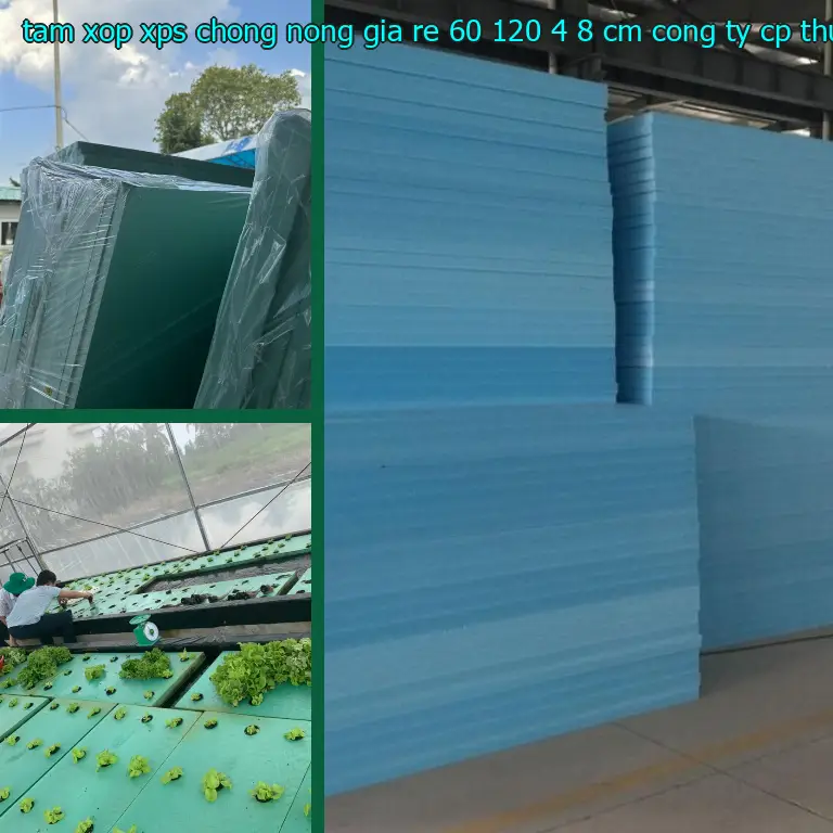 Nhà sản xuất tấm xốp XPS chống nóng giá rẻ 60*120*4.8 cm: Công ty CP thương mại XNK Tân Phú Bình