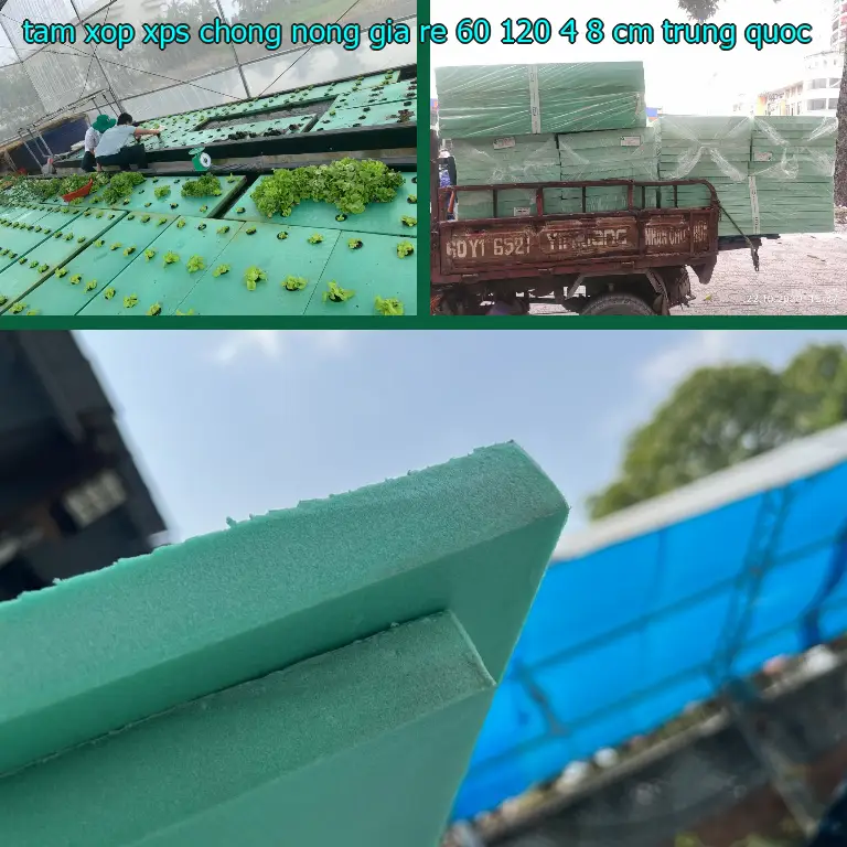 Xuất xứ tấm xốp XPS chống nóng giá rẻ 60*120*4.8 cm: Trung Quốc
