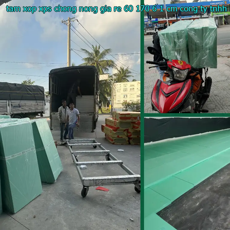 Nhà cung cấp tấm xốp XPS chống nóng giá rẻ 60*170*6.1 cm: Công ty TNHH Ngọn Hải Đăng