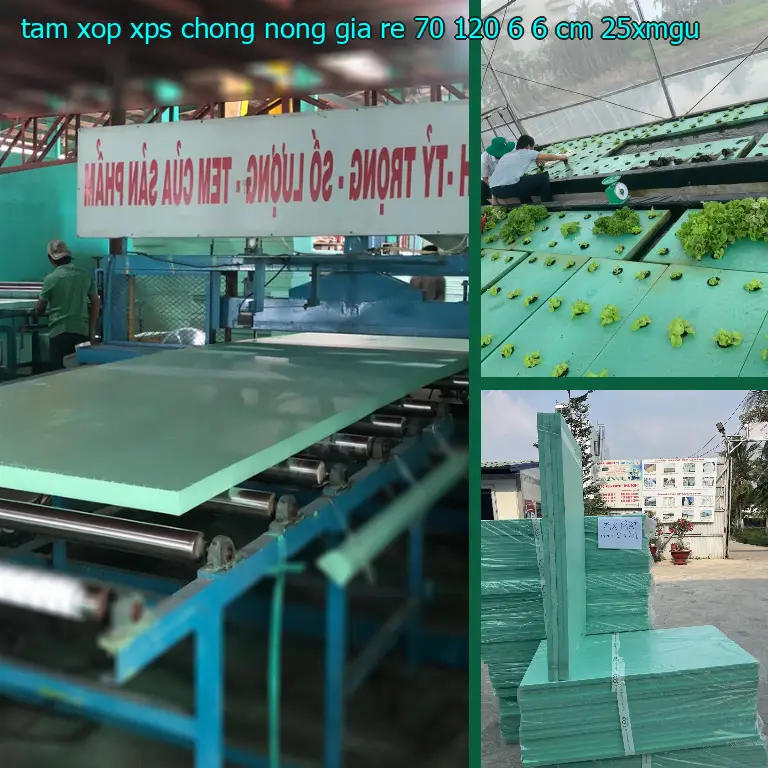 Model tấm xốp XPS chống nóng giá rẻ 70*120*6.6 cm: 25XMGU