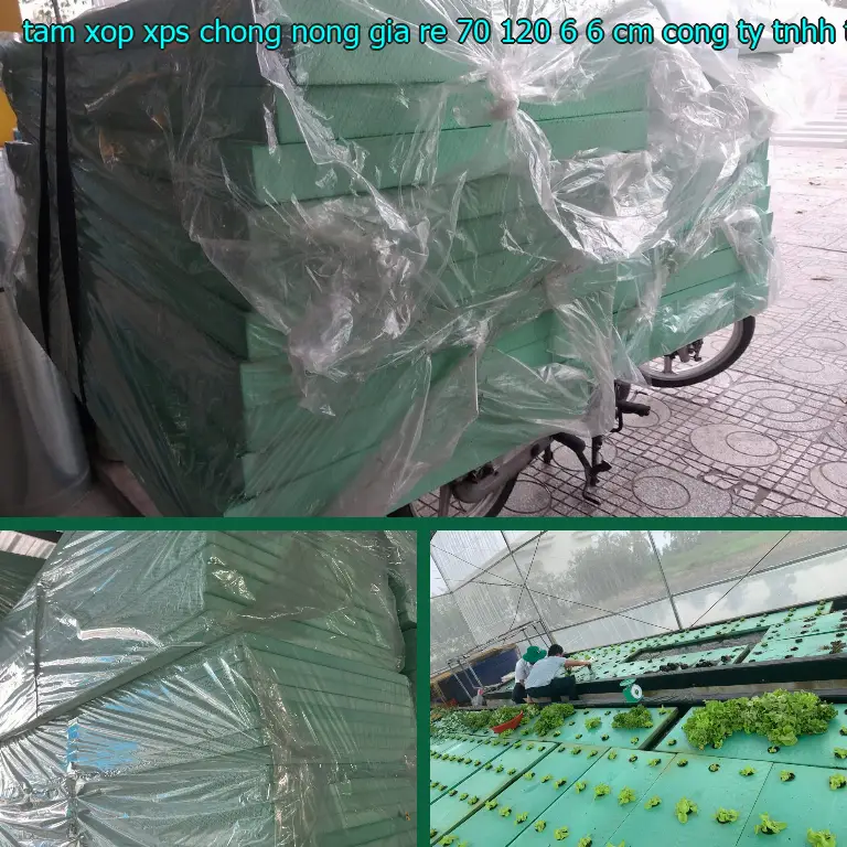 Nhà sản xuất tấm xốp XPS chống nóng giá rẻ 70*120*6.6 cm: Công ty TNHH TM - DV - phát triển Việt Hưng