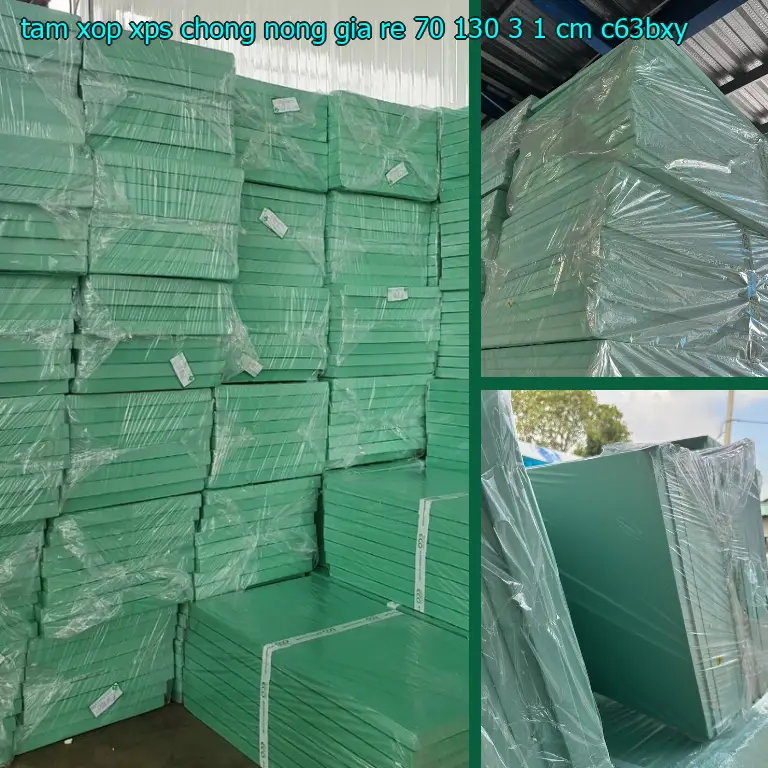 Model tấm xốp XPS chống nóng giá rẻ 70*130*3.1 cm: C63BXY