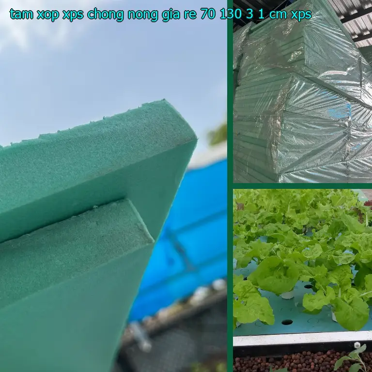 Chất liệu tấm xốp XPS chống nóng giá rẻ 70*130*3.1 cm: XPS