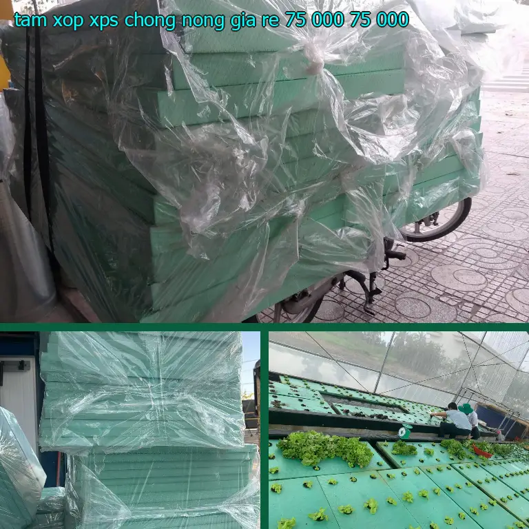 Giá tấm xốp XPS chống nóng giá rẻ 75.000₫: 75.000₫ Giá tấm xốp XPS chống nóng giá rẻ 75.000₫: 75.000₫