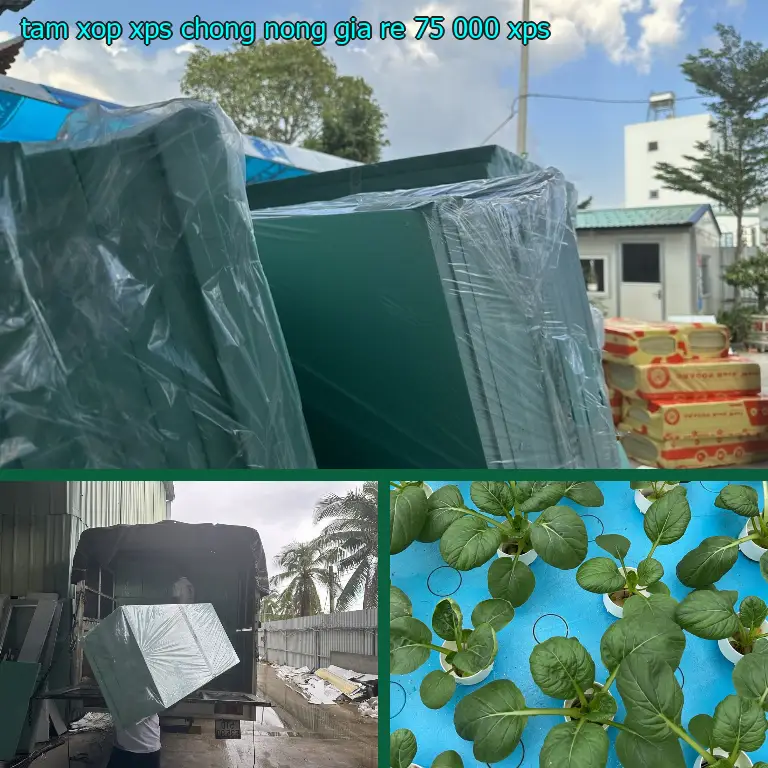Chất liệu tấm xốp XPS chống nóng giá rẻ 75.000₫: XPS Chất liệu tấm xốp XPS chống nóng giá rẻ 75.000₫: XPS