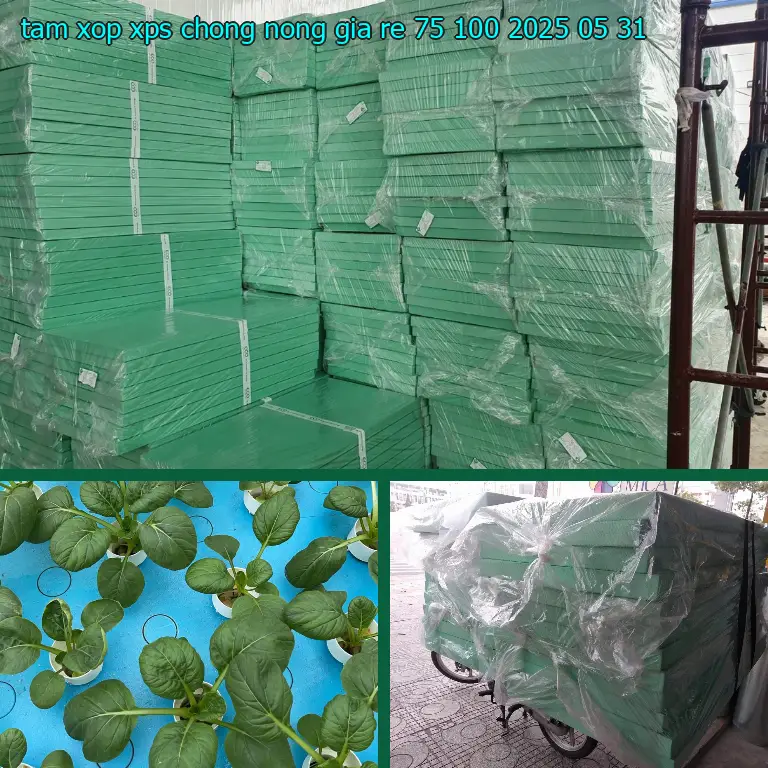 Ngày sản xuất tấm xốp XPS chống nóng giá rẻ 75.100₫: 2025-05-31 Ngày sản xuất tấm xốp XPS chống nóng giá rẻ 75.100₫: 2025-05-31