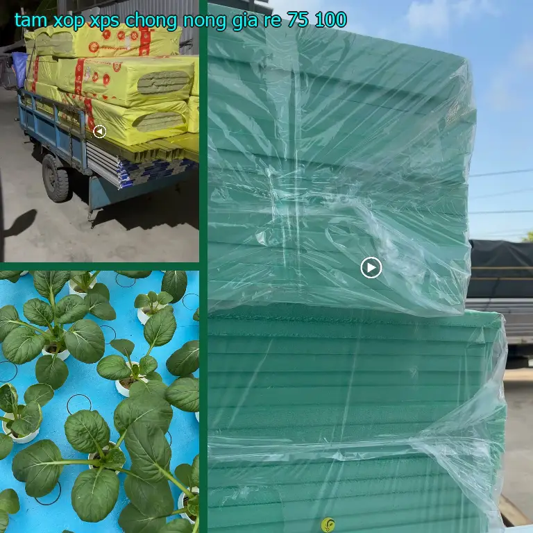 Tấm xốp XPS chống nóng giá rẻ 75.100₫