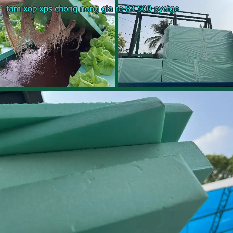 Model tấm xốp XPS chống nóng giá rẻ 83.500₫: PYCTGE Model tấm xốp XPS chống nóng giá rẻ 83.500₫: PYCTGE