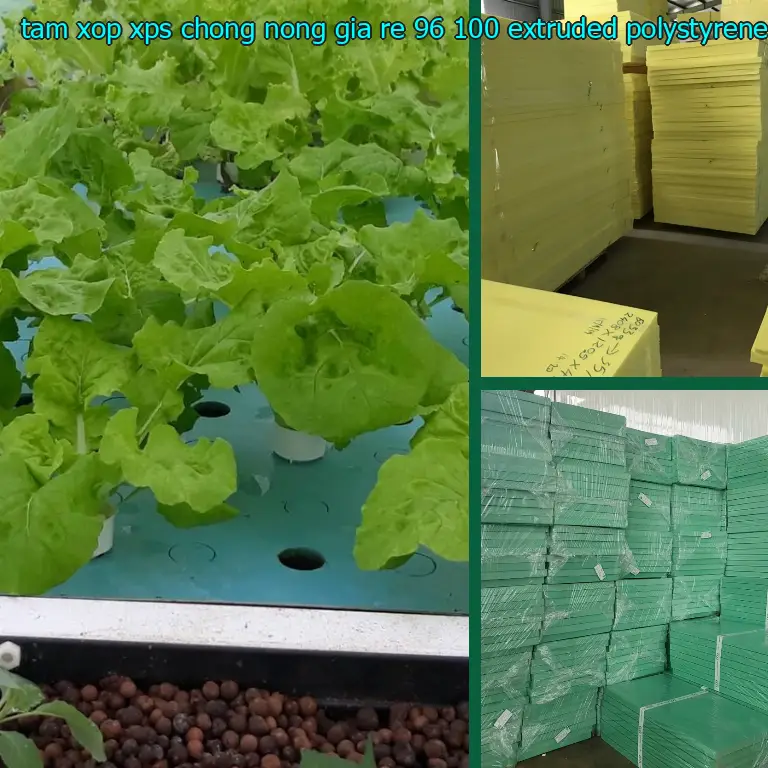 Chất liệu tấm xốp XPS chống nóng giá rẻ 96.100₫: Extruded Polystyrene Chất liệu tấm xốp XPS chống nóng giá rẻ 96.100₫: Extruded Polystyrene